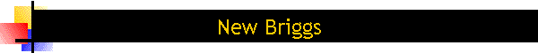 New Briggs